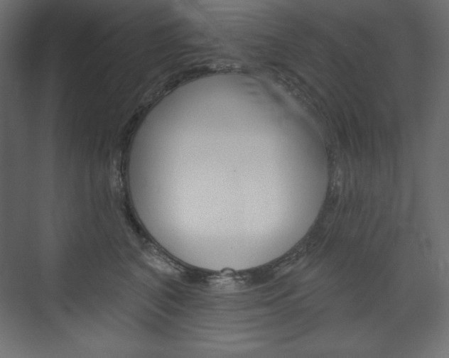 X0000073990616200608211043
