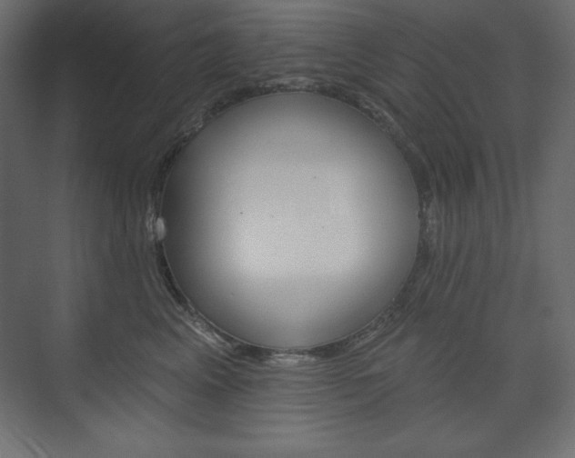 X0000073990617200608211043