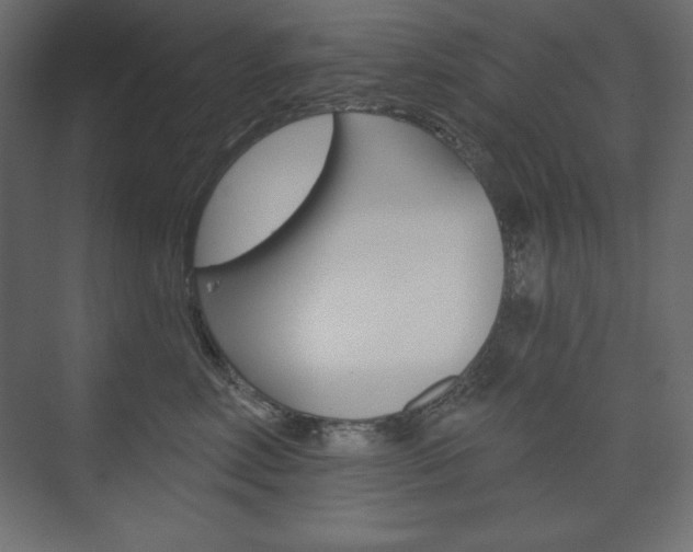 X0000073990618200608211043