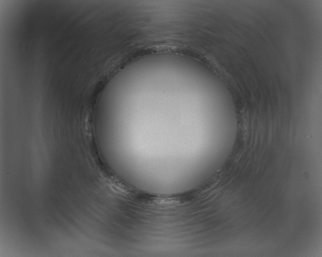 X0000073990619200608211043