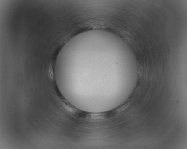 X0000073990622200608211043