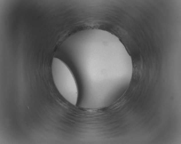 X0000073990623200608211043
