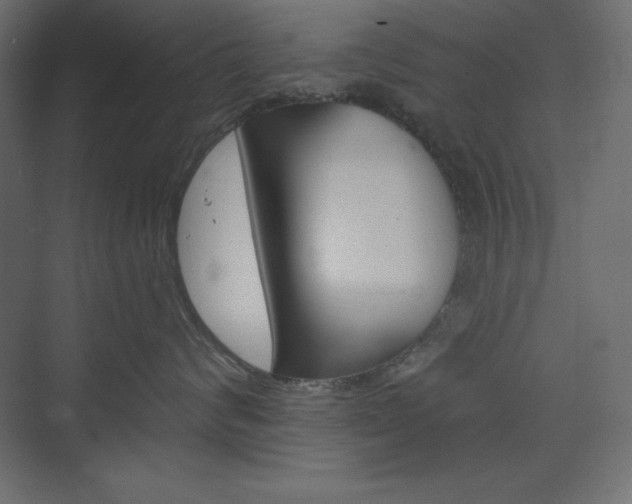 X0000073990624200608211043