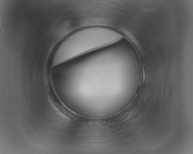 X0000073990627200608211043