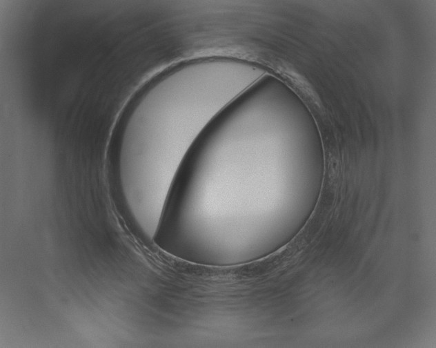 X0000073990628200608211043