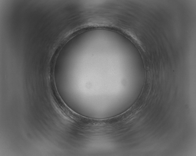 X0000073990631200608211043