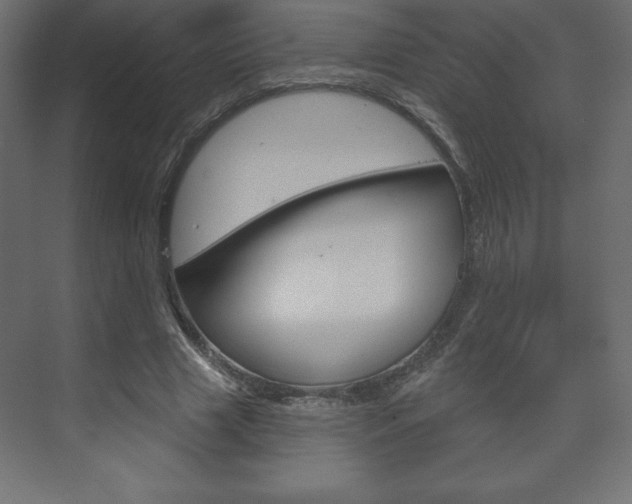 X0000073990633200608211043