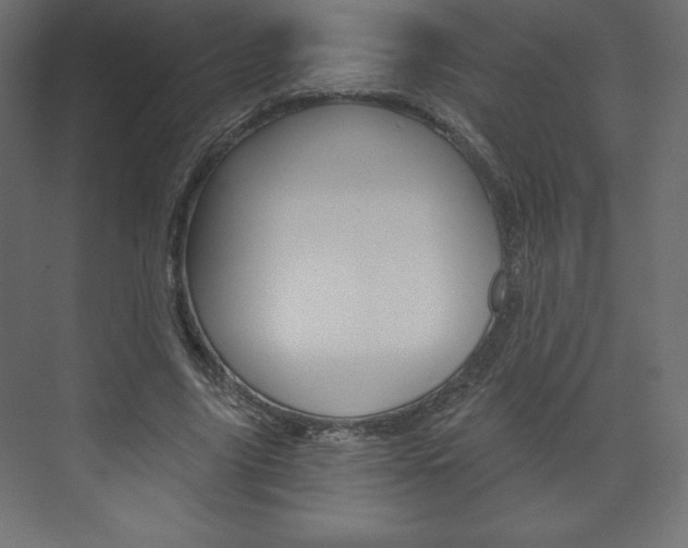 X0000073990635200608211043