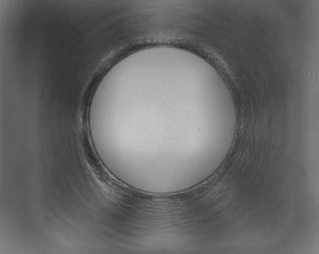 X0000073990636200608211043