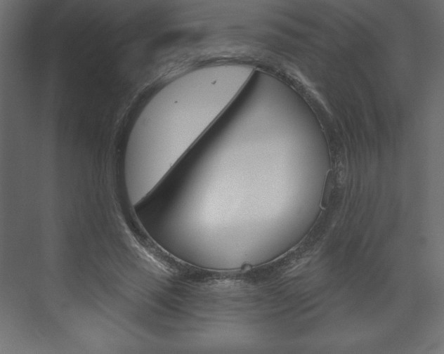 X0000073990637200608211043