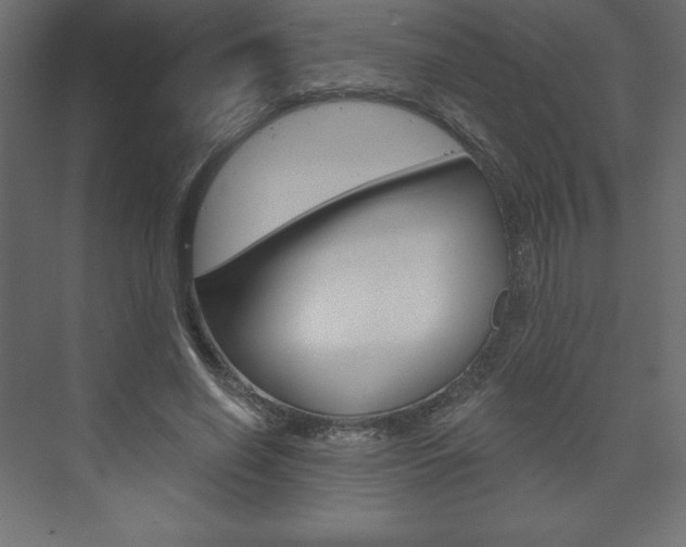 X0000073990638200608211043