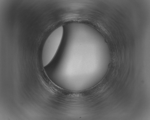 X0000073990639200608211043