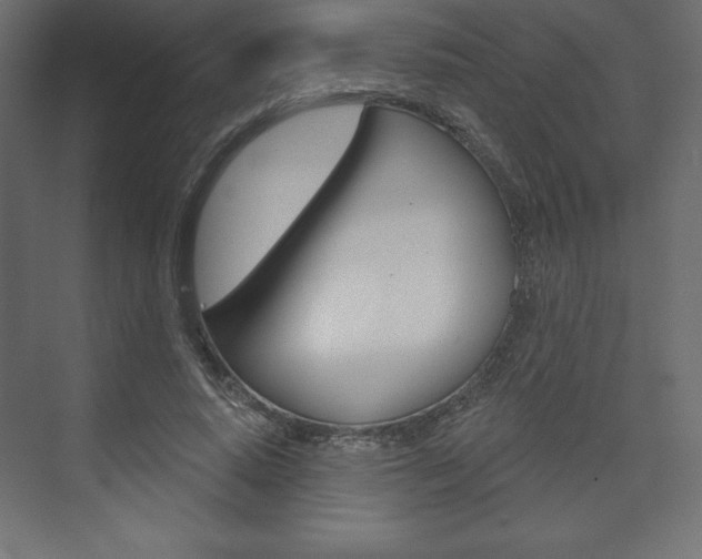 X0000073990640200608211043