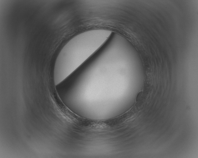 X0000073990642200608211043