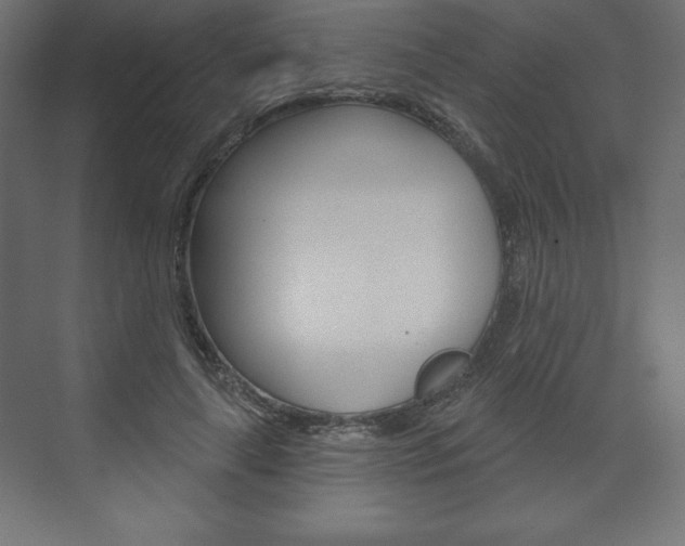 X0000073990643200608211043