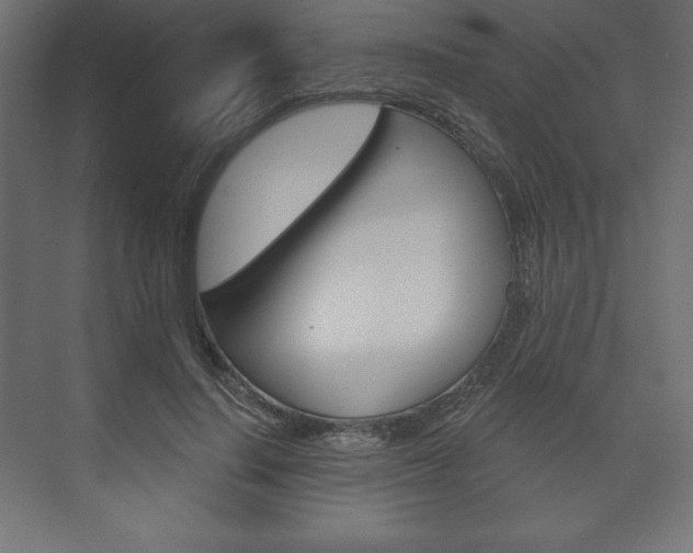X0000073990644200608211043