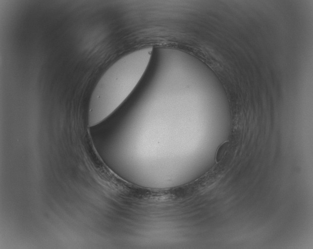 X0000073990646200608211043