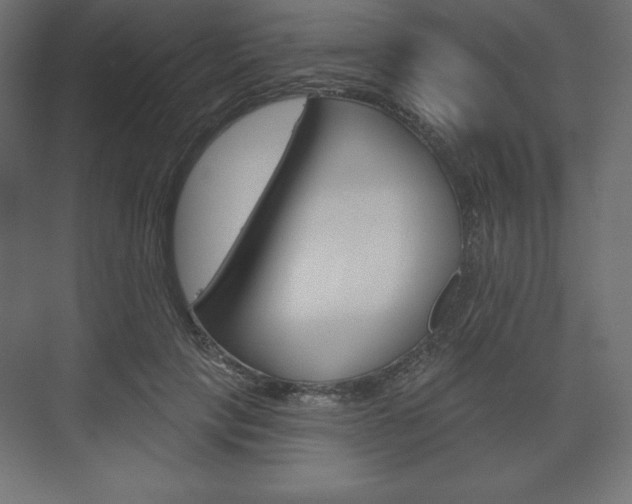 X0000073990649200608211043