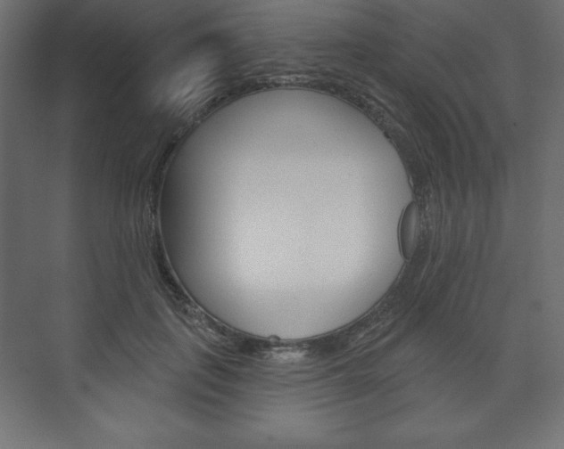 X0000073990651200608211043