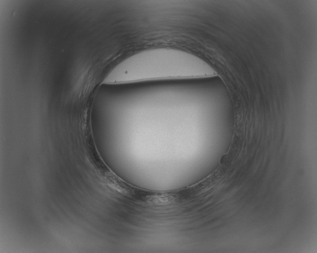 X0000073990652200608211043