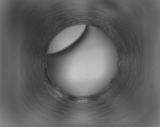 X0000073990653200608211043