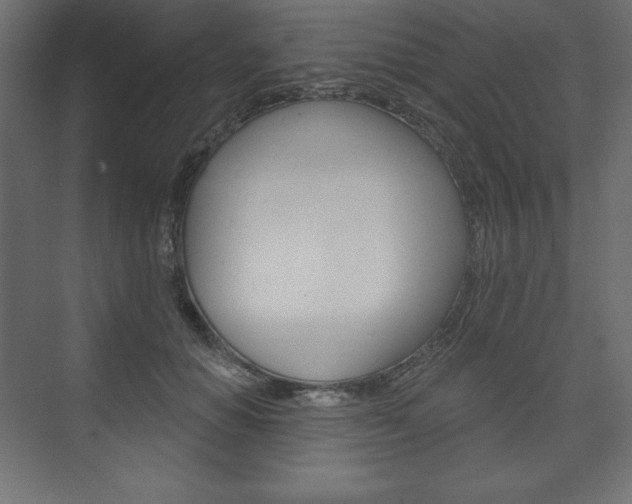 X0000073990654200608211043