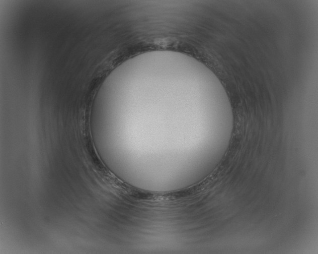 X0000073990656200608211043
