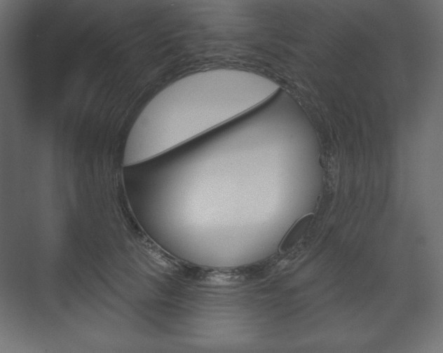 X0000073990657200608211043