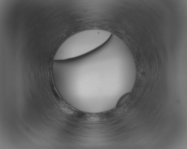 X0000073990658200608211043