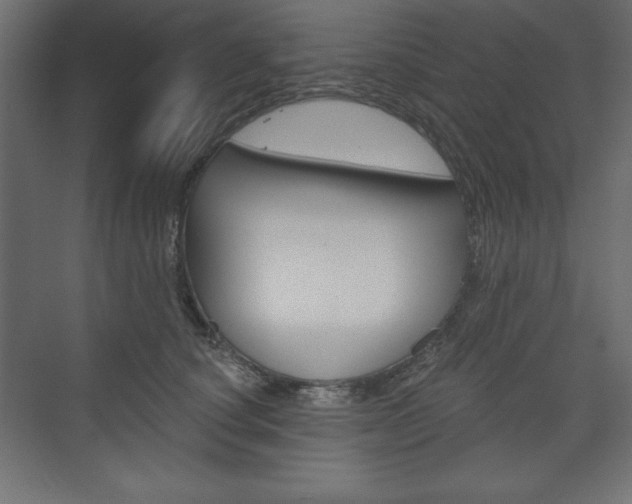 X0000073990660200608211043