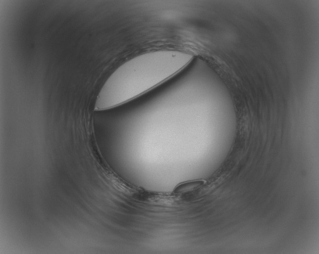 X0000073990661200608211043