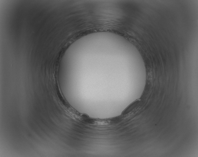 X0000073990662200608211043