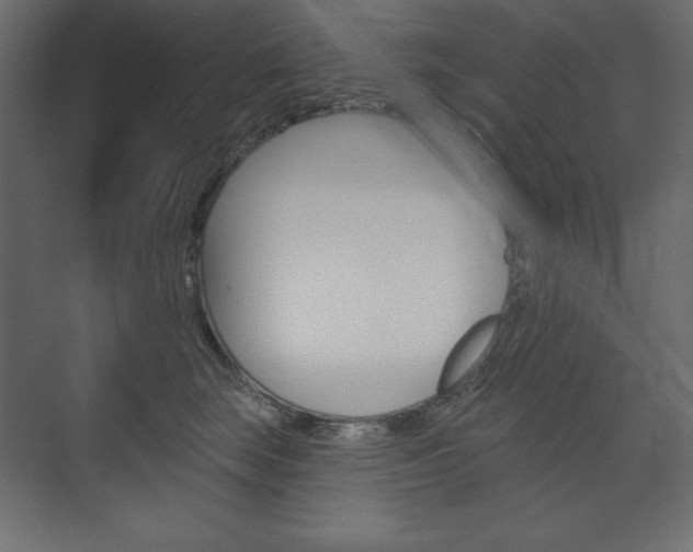 X0000073990663200608211043