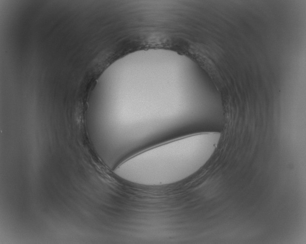 X0000073990665200608211043
