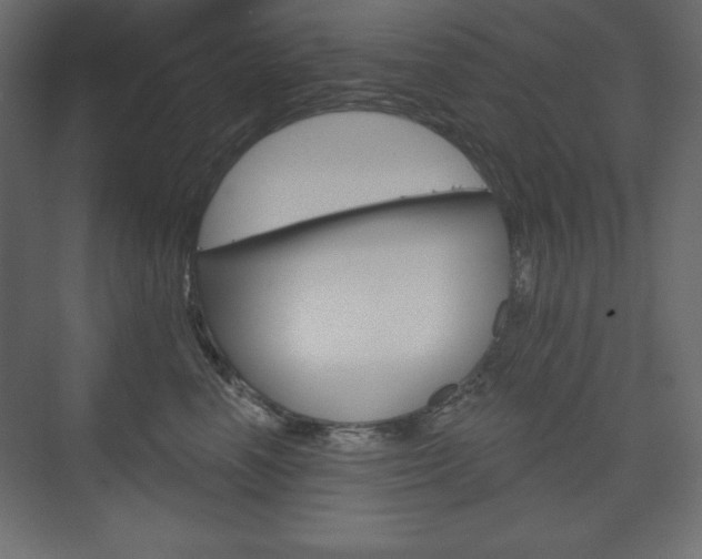 X0000073990666200608211043