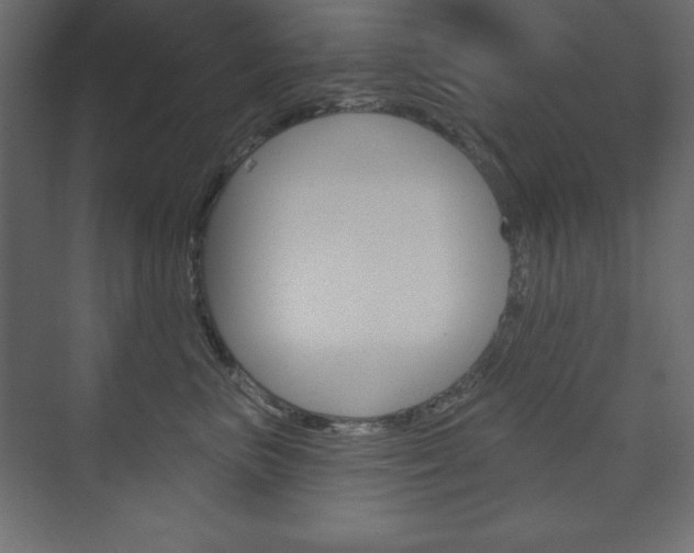 X0000073990667200608211043
