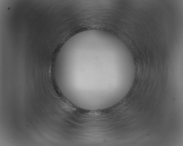 X0000073990668200608211043