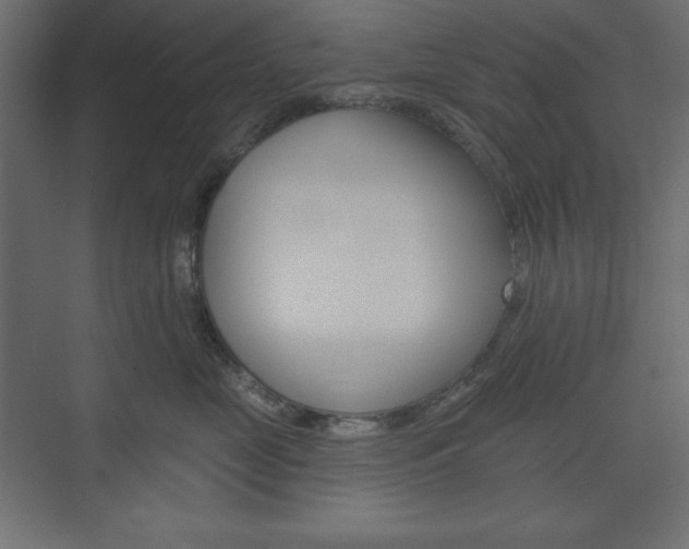 X0000073990669200608211043
