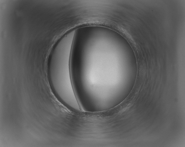 X0000073990673200608211042