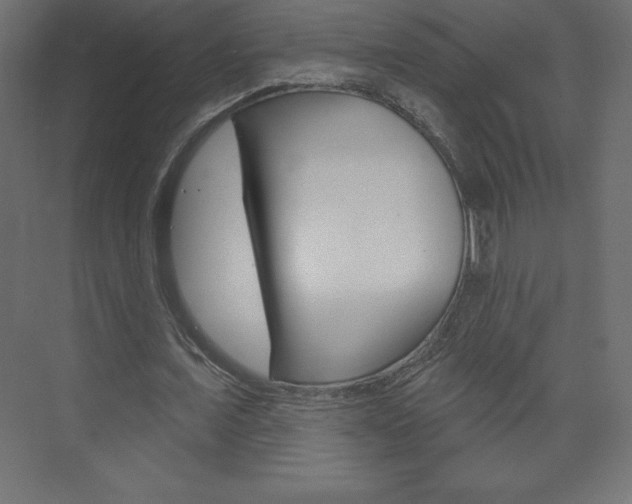 X0000073990675200608211042