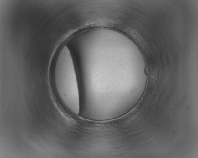X0000073990678200608211042