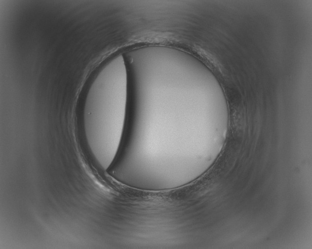 X0000073990682200608211042