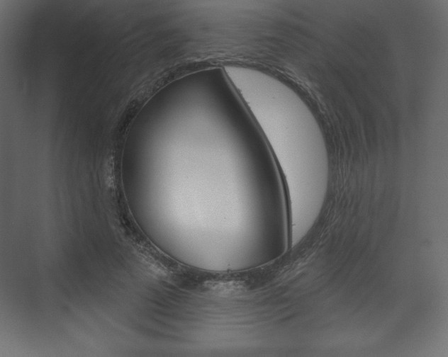 X0000073990689200608211042