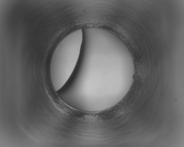 X0000073990690200608211042