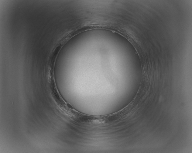 X0000073990692200608211042