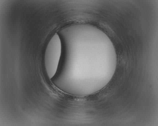 X0000073990694200608211042