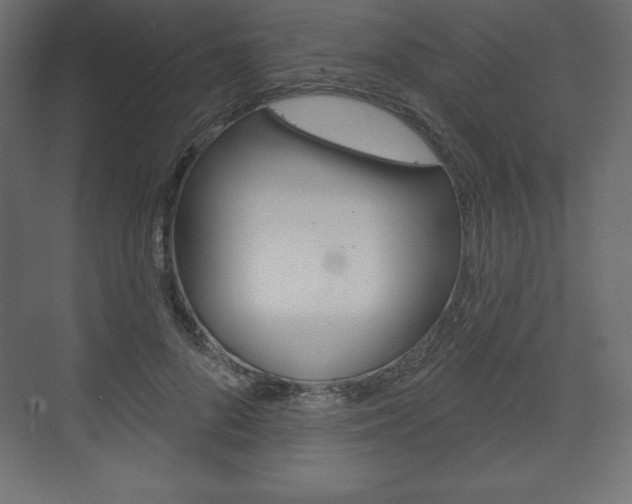 X0000073990696200608211042