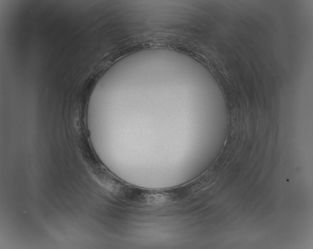 X0000073990698200608211042