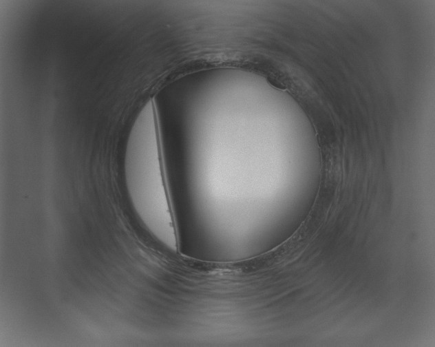 X0000073990700200608211042