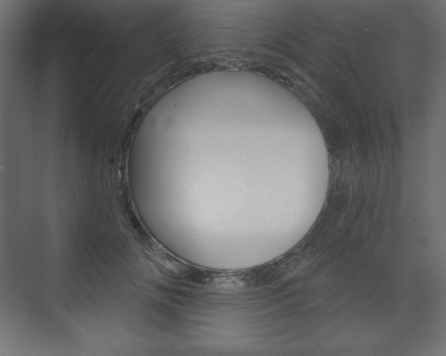 X0000073990702200608211042